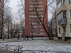 Светлановский просп., 56